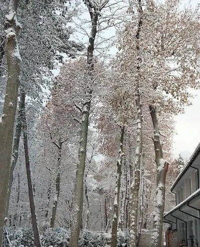 Apartmán Plazowa 11